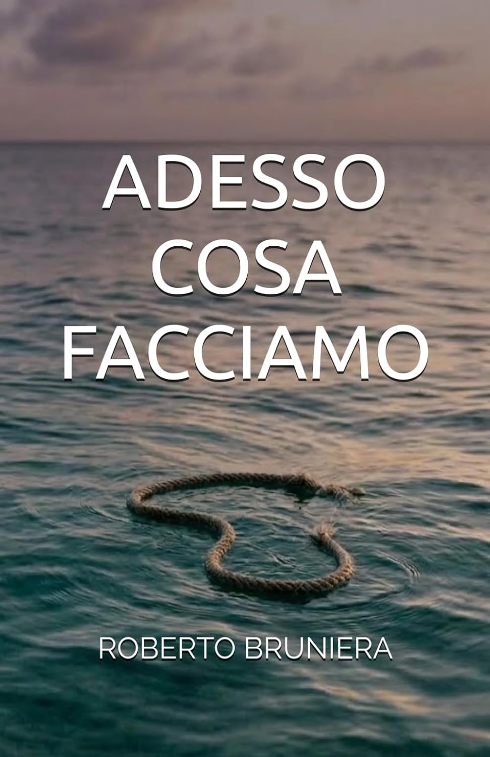 Copertina di Adesso cosa facciamo